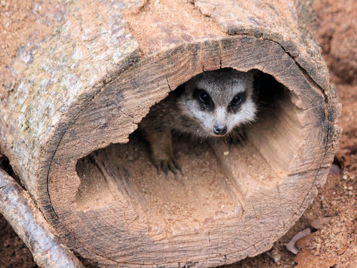 Deine eigene Veranstaltung